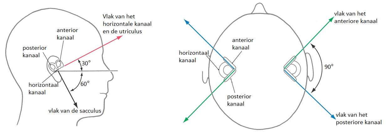 evenwicht orientatie